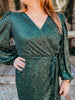 Higher Standards Dress
