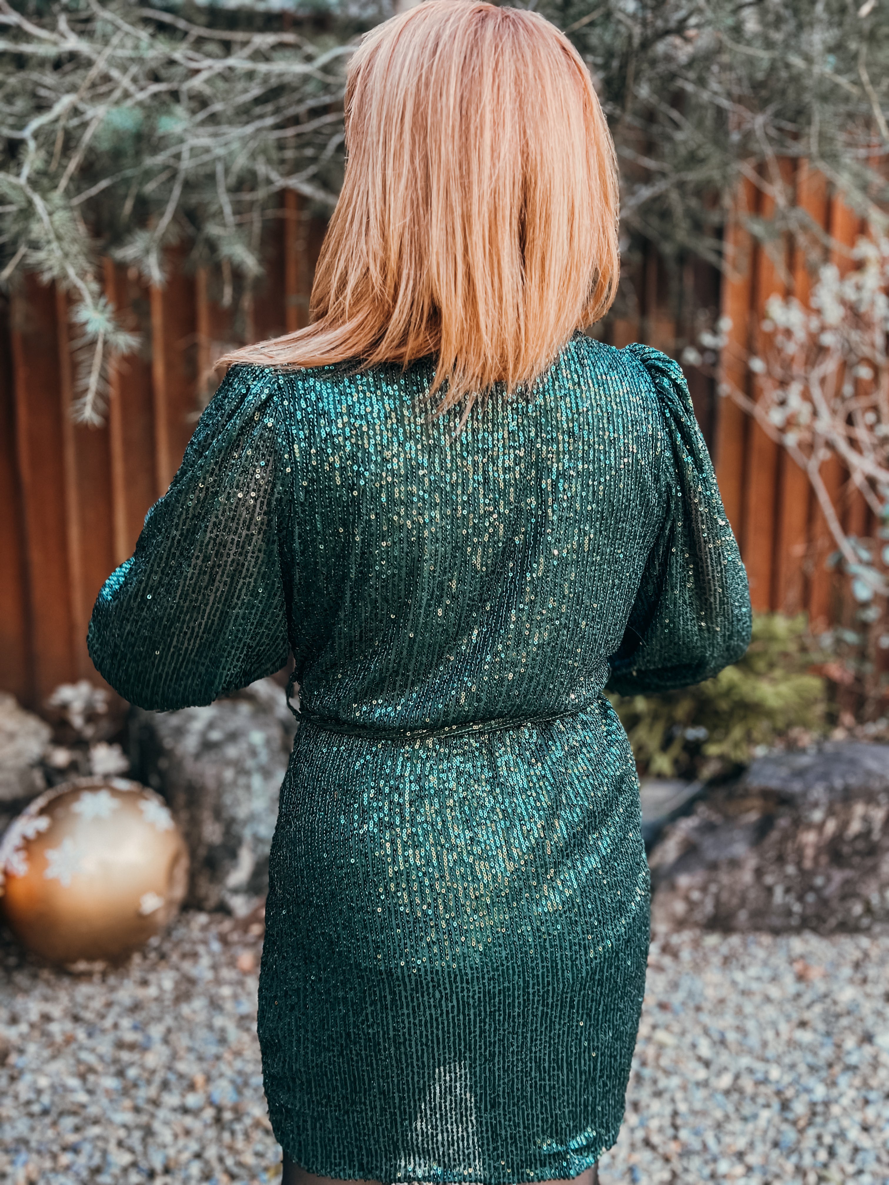 Higher Standards Dress